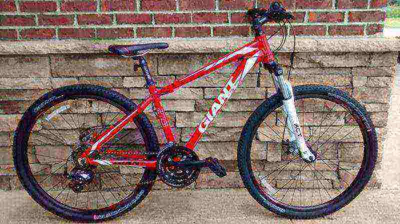 giant-best-bicycle-brands